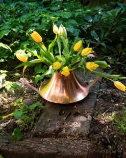 Piccolo Arredo<ALESSI Conca