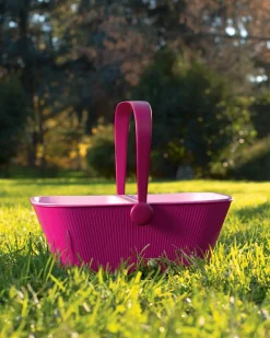 Accessori Per Animali<ALESSI PetNic