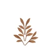Fragranze E Diffusori<ALESSI The Five Seasons