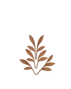 Fragranze E Diffusori<ALESSI The Five Seasons