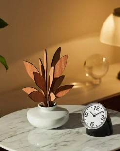 Fragranze E Diffusori<ALESSI The Five Seasons
