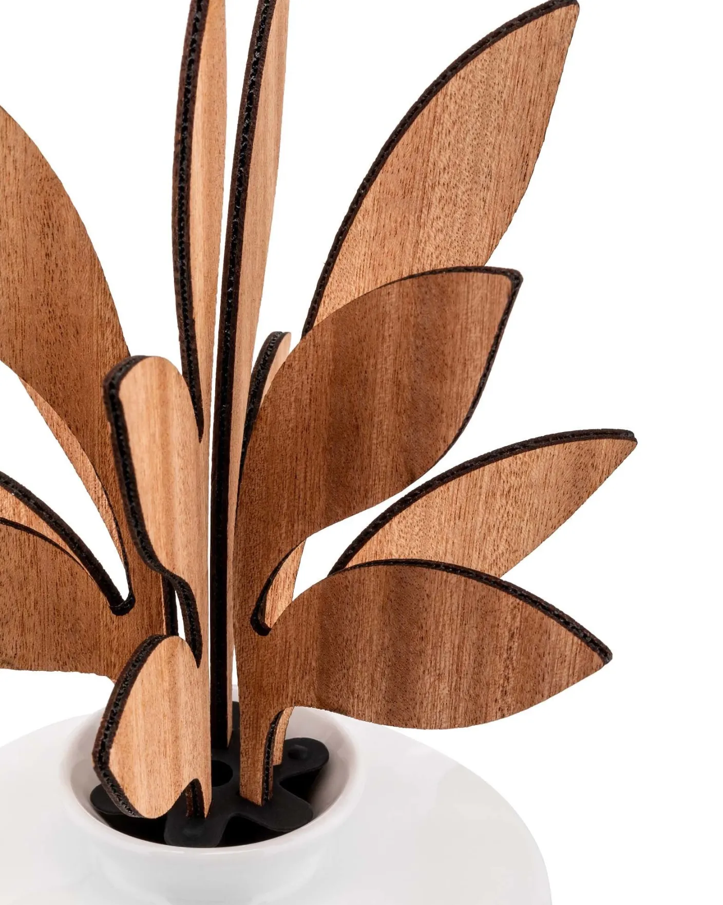 Fragranze E Diffusori<ALESSI The Five Seasons