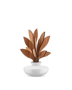 Fragranze E Diffusori<ALESSI The Five Seasons