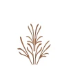 Fragranze E Diffusori<ALESSI The Five Seasons