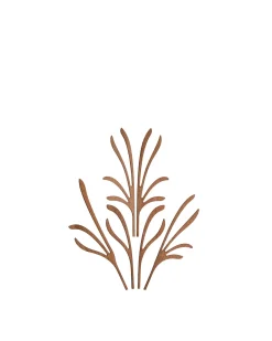 Fragranze E Diffusori<ALESSI The Five Seasons